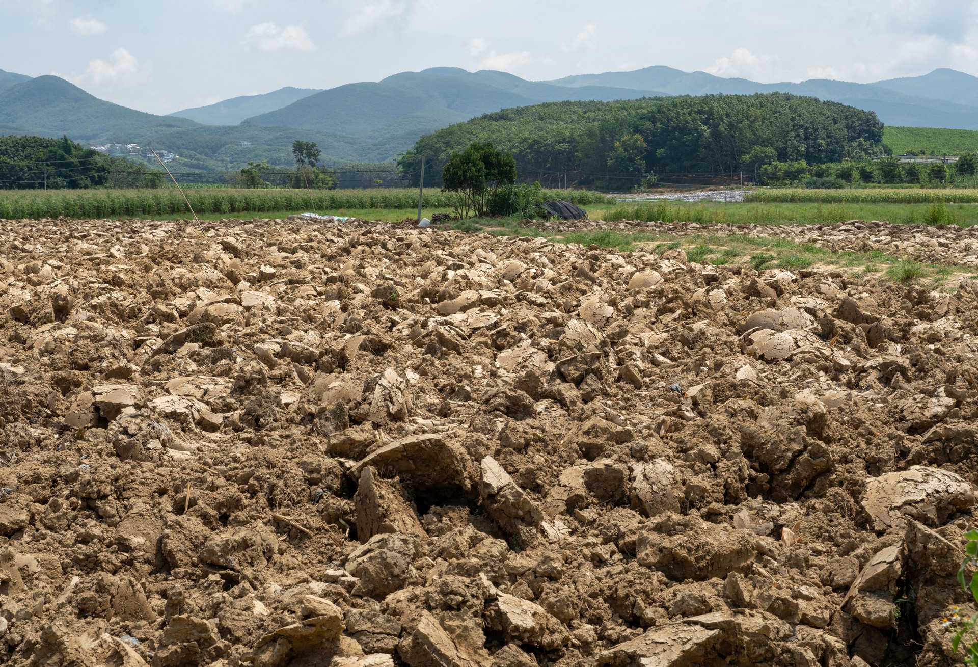 Close-up of plowed farmland